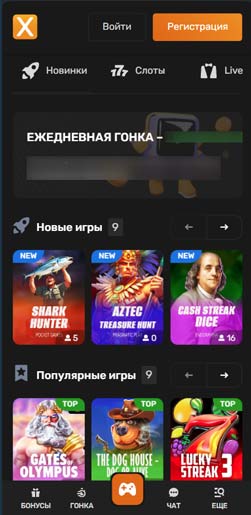 Внешний вид